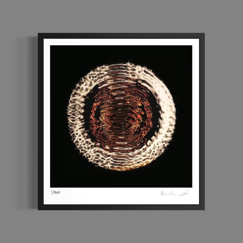 Dethrone (Fine Art Photography - 9.1" x 9.7" / 23.1 x 24.7cm)