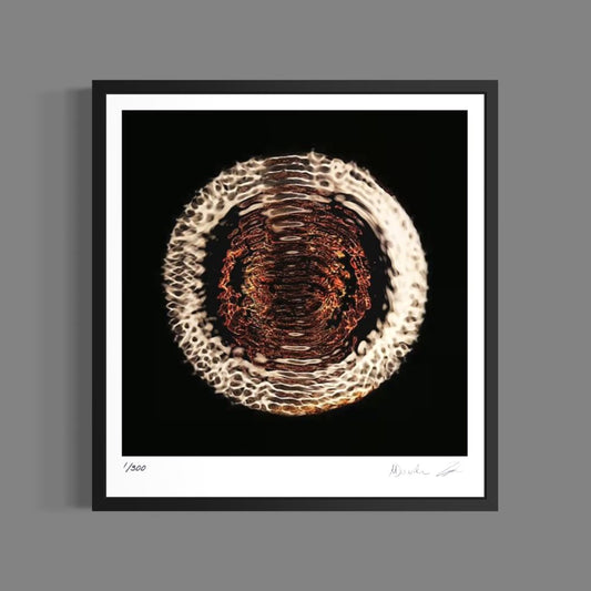 Dethrone (Fine Art Fotografie - 9.1"x 9.7" / 23.1 x 24.7cm)