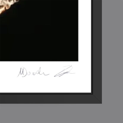 Dethrone (Fine Art Photography - 9.1" x 9.7" / 23.1 x 24.7cm)