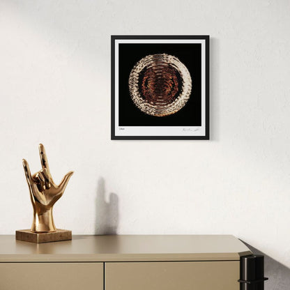 Dethrone (Fine Art Photography - 9.1" x 9.7" / 23.1 x 24.7cm)