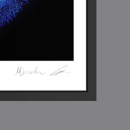 Drown (Fine Art Fotografie - 9.1"x 9.7" / 23.1 x 24.7cm)