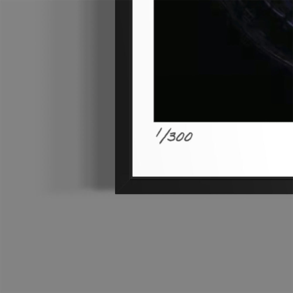 DArkSide (Fine Art Fotografie - 9.1"x 9.7" / 23.1 x 24.7cm)
