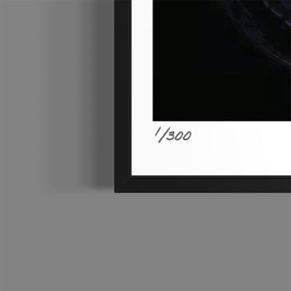 DArkSide (Fine Art Fotografie - 9.1"x 9.7" / 23.1 x 24.7cm)