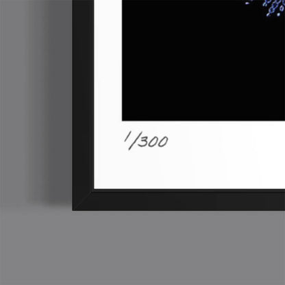 Impose (Fine Art Photography - 9.1"x 9.7" / 23.1 x 24.7cm)