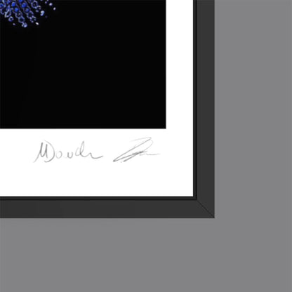 Impose (Fine Art Photography - 9.1"x 9.7" / 23.1 x 24.7cm)