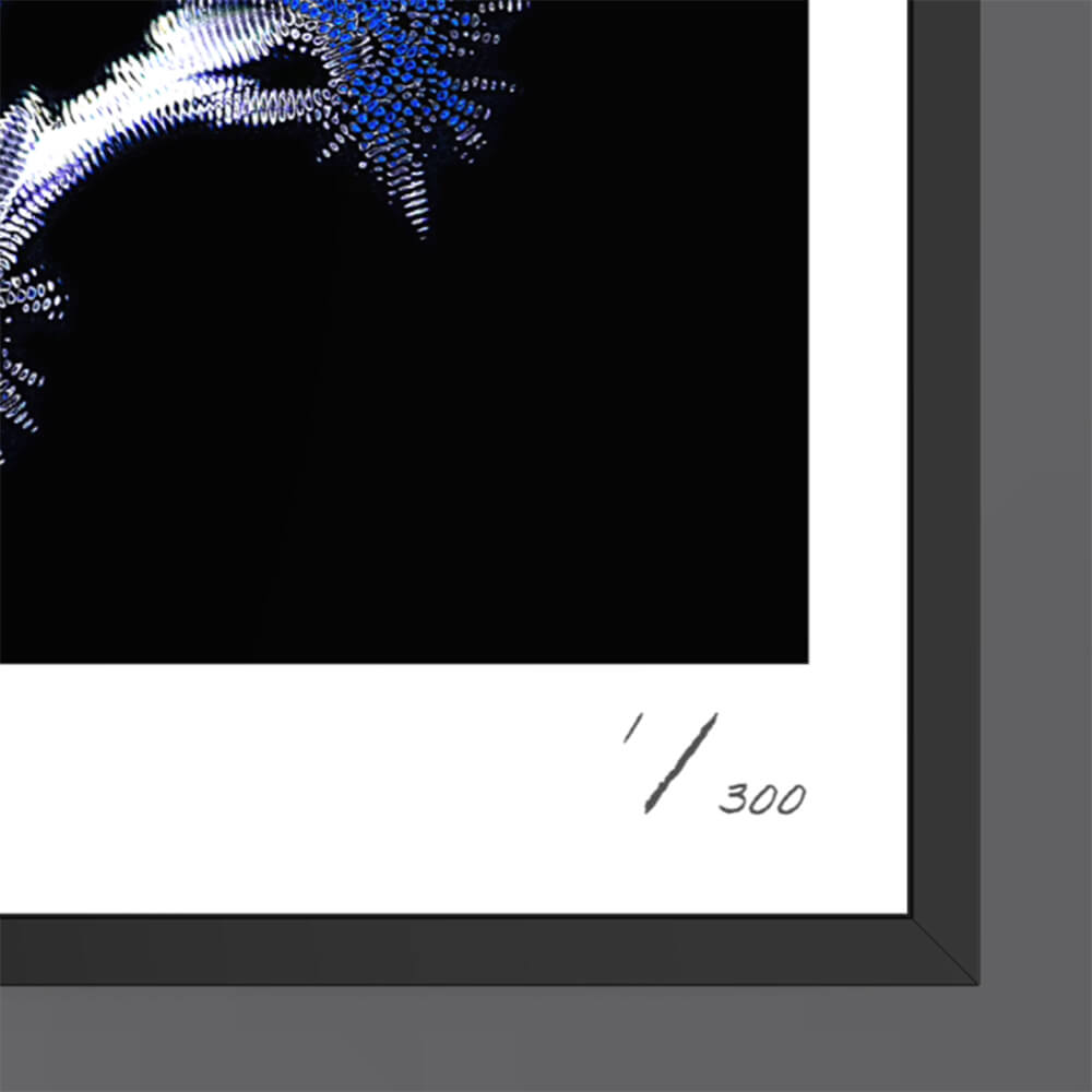 Throne (Fine Art Fotografie - 9.1"x 9.7" / 23.1 x 24.7cm)