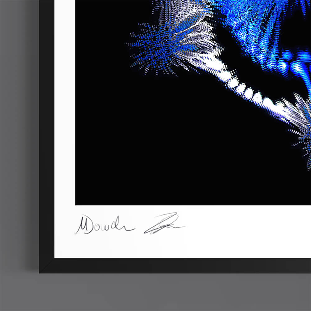 Throne (Fine Art Fotografie - 9.1"x 9.7" / 23.1 x 24.7cm)