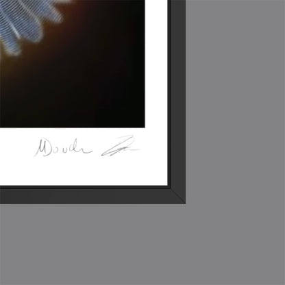 Infinite Baths (Fine Art Fotografie - 9.1"x 9.7" / 23.1 x 24.7cm)