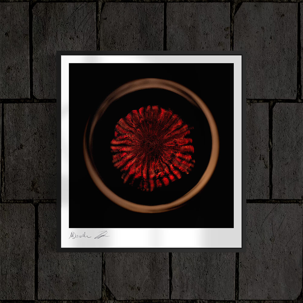 'Reaper Fear Me'-Edition (Fine Art Photography - 9.1"x 9.7" / 23.1 x 24.7cm)