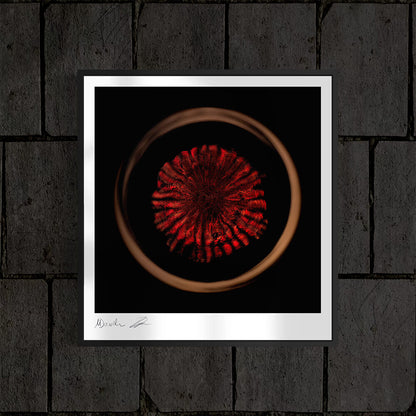 'Reaper Fear Me'-Edition (Fine Art Photography - 9.1"x 9.7" / 23.1 x 24.7cm)