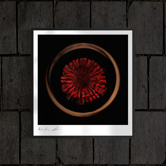 'Reaper Fear Me'-Edition (Fine Art Photography - 9.1"x 9.7" / 23.1 x 24.7cm)