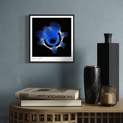 Throne (Fine Art Fotografie - 9.1"x 9.7" / 23.1 x 24.7cm)